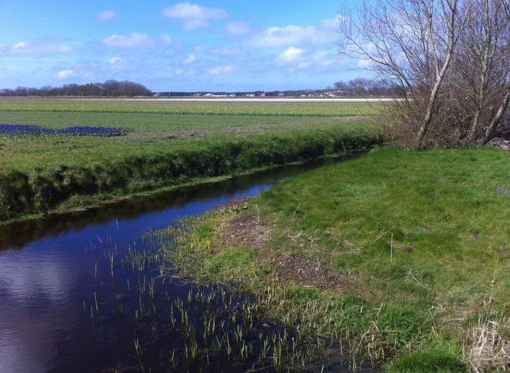 Strand49 Glamping Sint Maartenszee Sint Maartensvlotbrug Luaran gambar